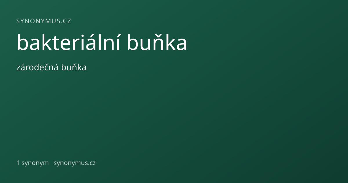 Náhled odkazu: bakteriální buňka