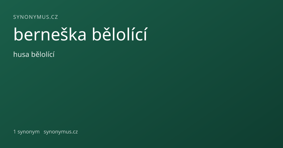 Náhled odkazu: berneška bělolící