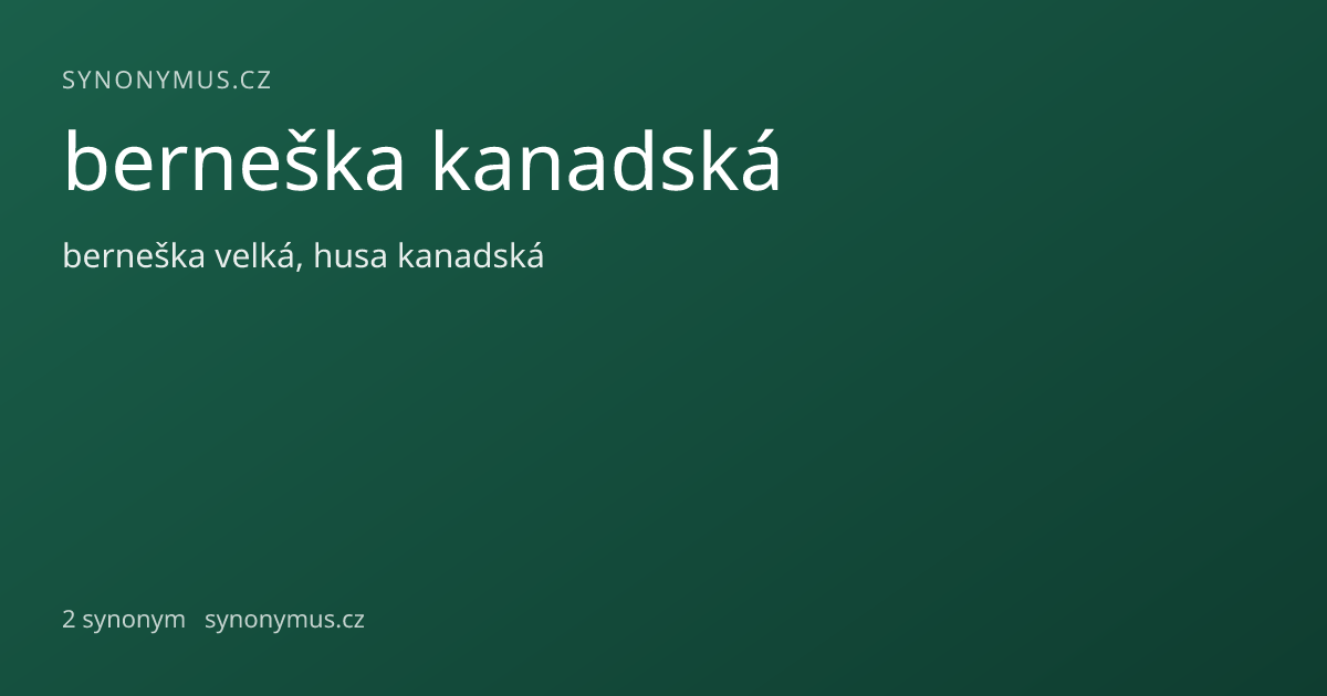 Náhled odkazu: berneška kanadská