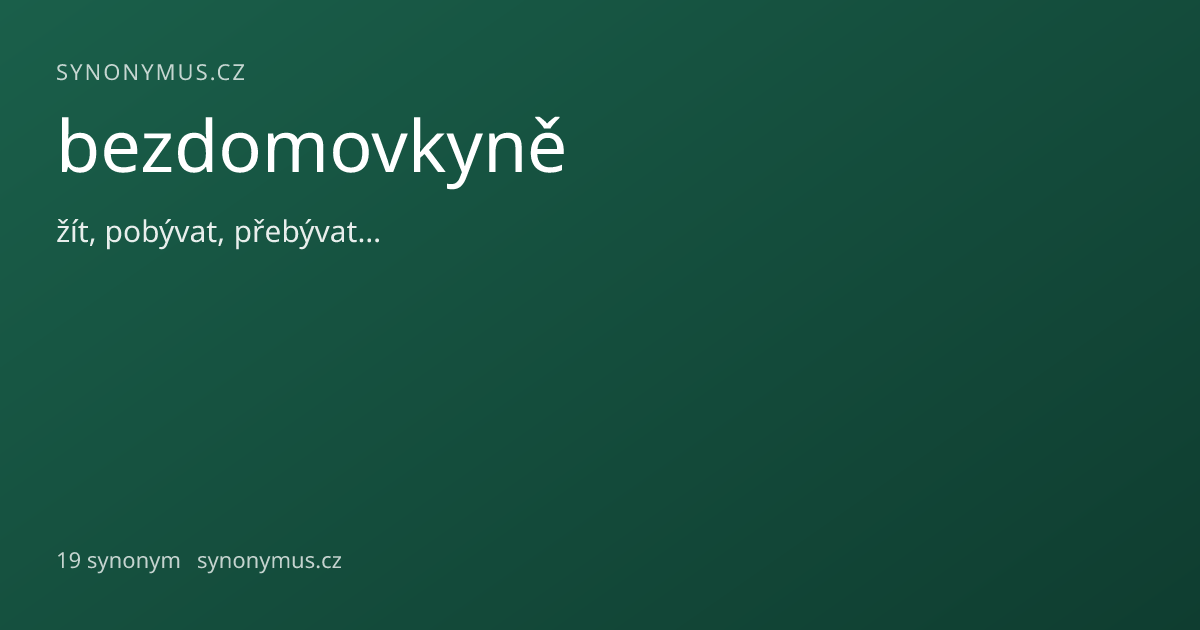 Náhled odkazu: bezdomovkyně