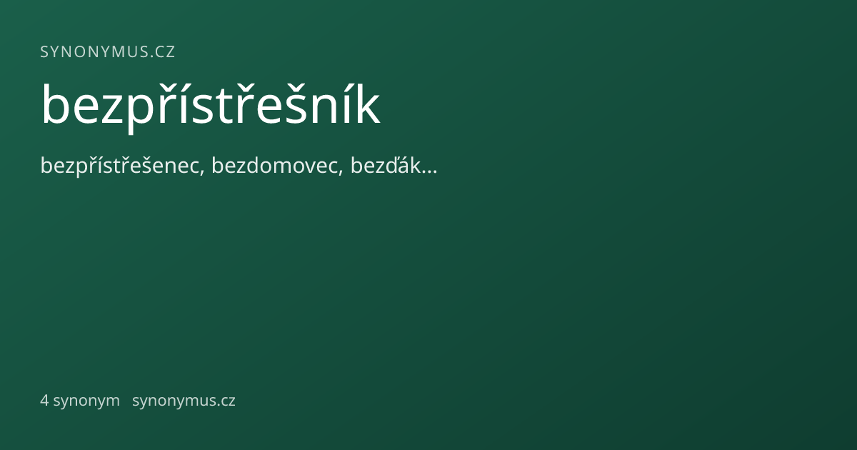 Náhled odkazu: bezpřístřešník