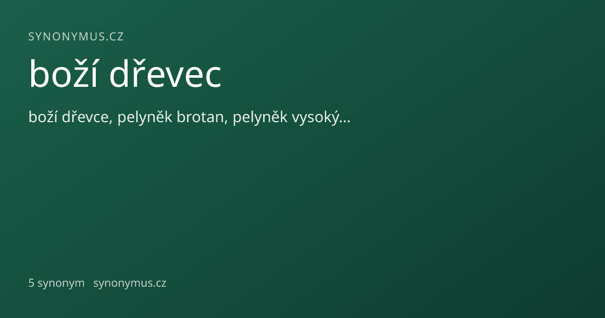 Náhled odkazu: boží dřevec