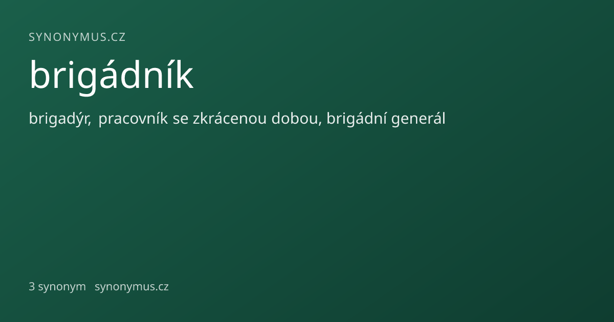 Náhled odkazu: brigádník