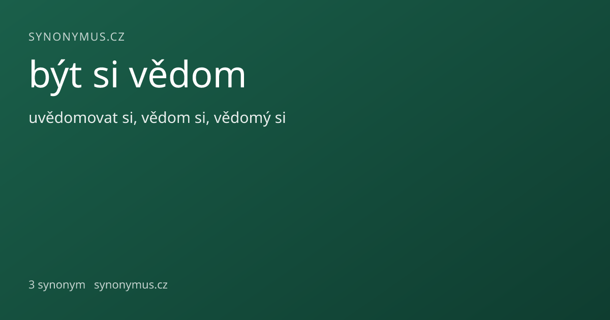 Náhled odkazu: být si vědom
