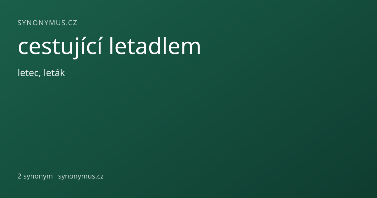 Náhled odkazu: cestující letadlem