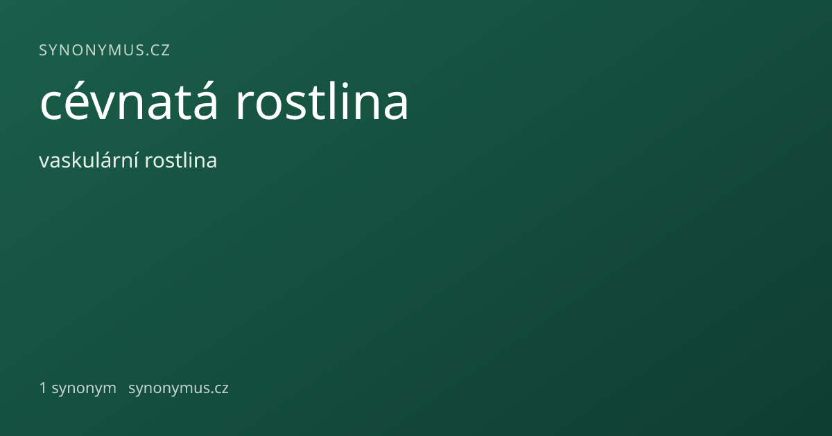 Náhled odkazu: cévnatá rostlina
