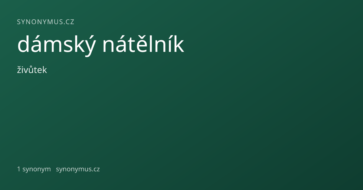 Náhled odkazu: dámský nátělník