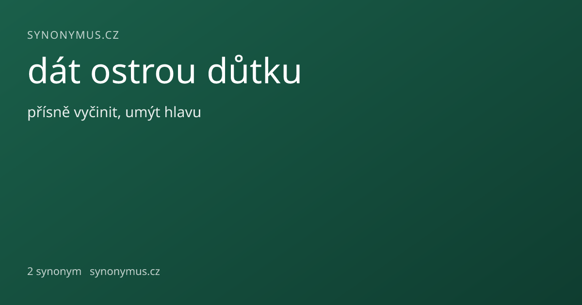 Náhled odkazu: dát ostrou důtku