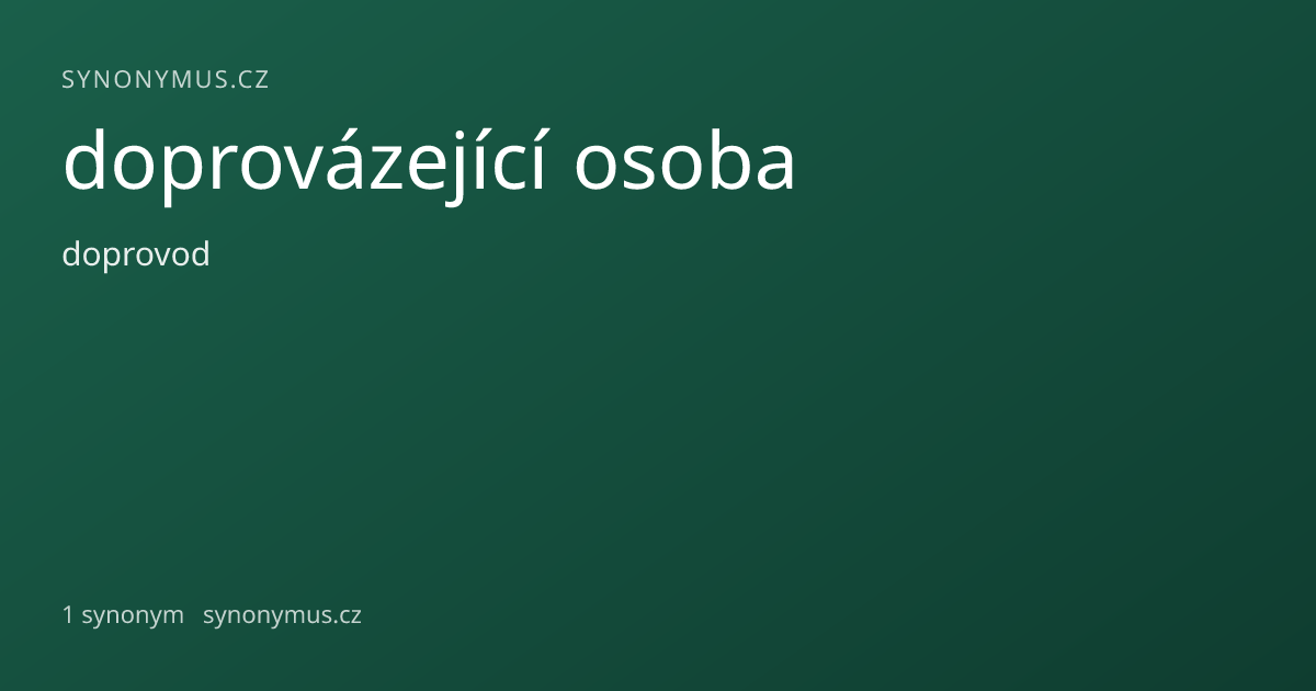 Náhled odkazu: doprovázející osoba