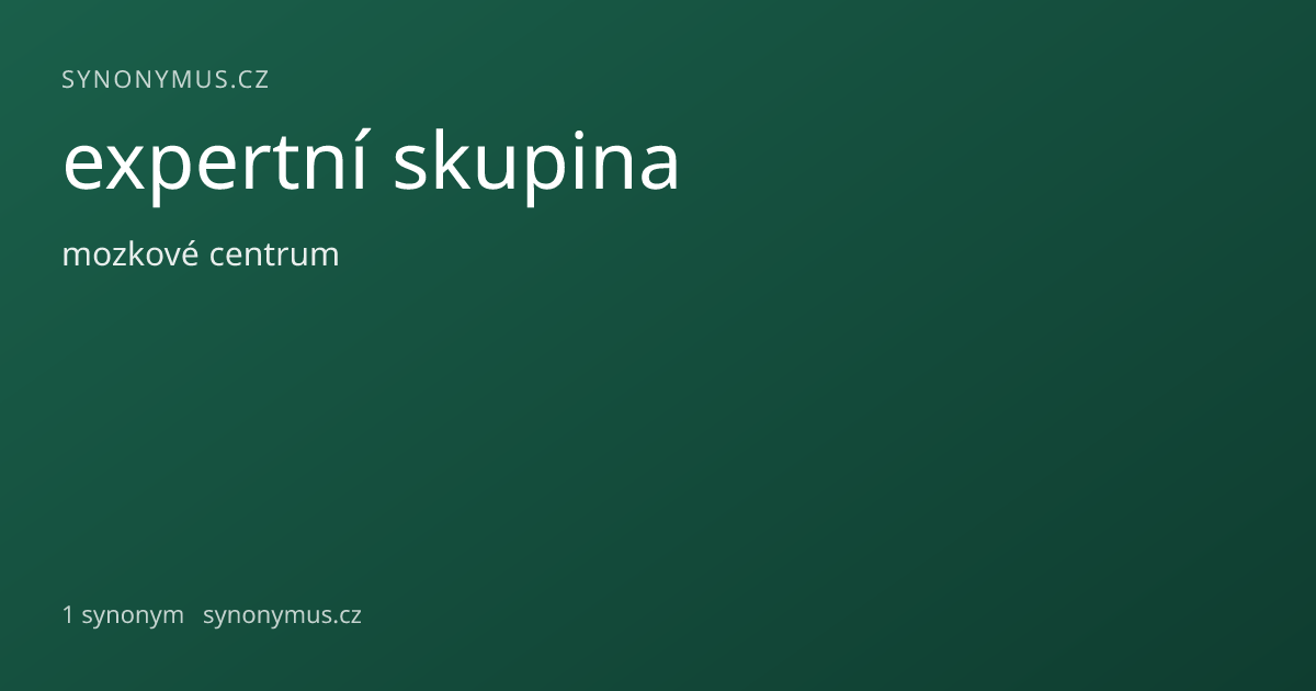 Náhled odkazu: expertní skupina