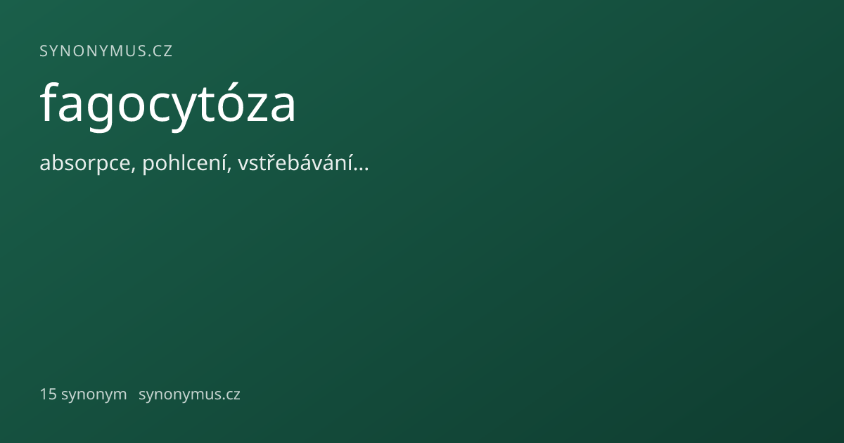 Náhled odkazu: fagocytóza