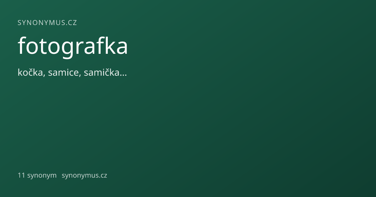 Náhled odkazu: fotografka