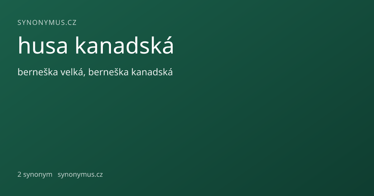 Náhled odkazu: husa kanadská