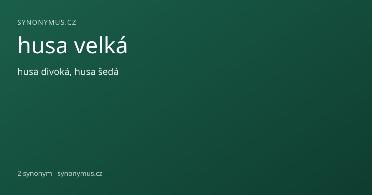 Náhled odkazu: husa velká