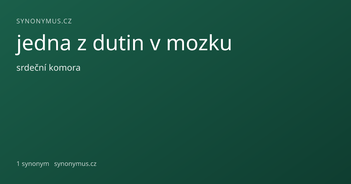 Náhled odkazu: jedna z dutin v mozku