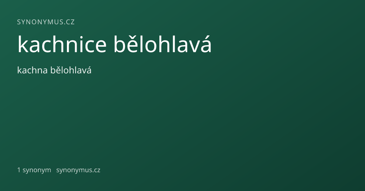 Náhled odkazu: kachnice bělohlavá