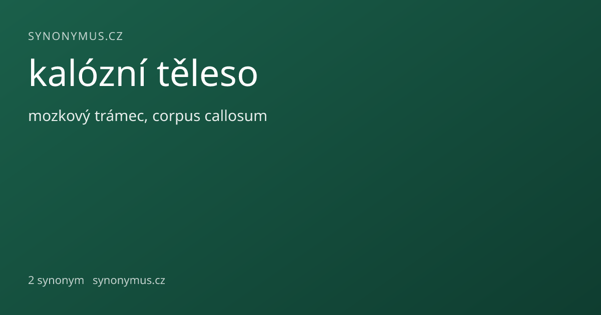Náhled odkazu: kalózní těleso