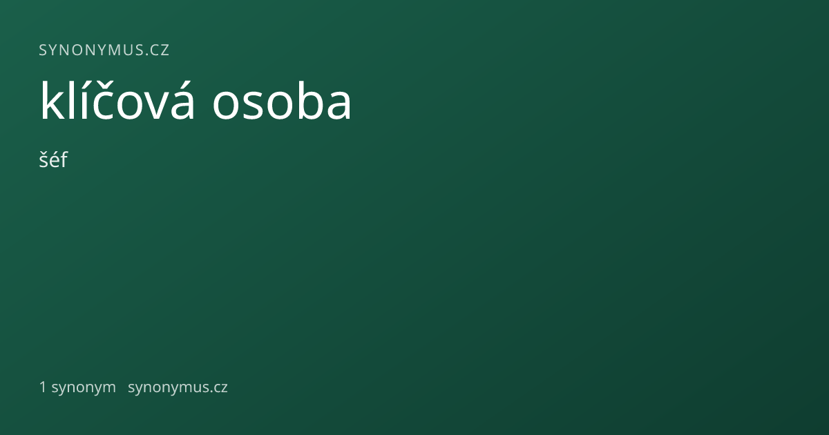 Náhled odkazu: klíčová osoba