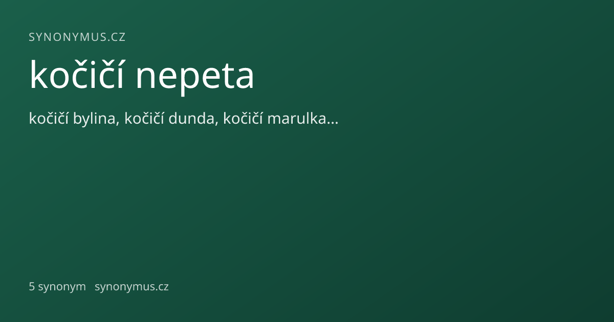 Náhled odkazu: kočičí nepeta