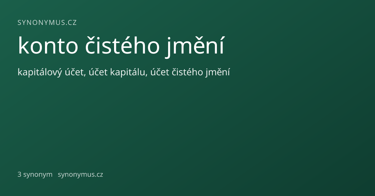 Náhled odkazu: konto čistého jmění