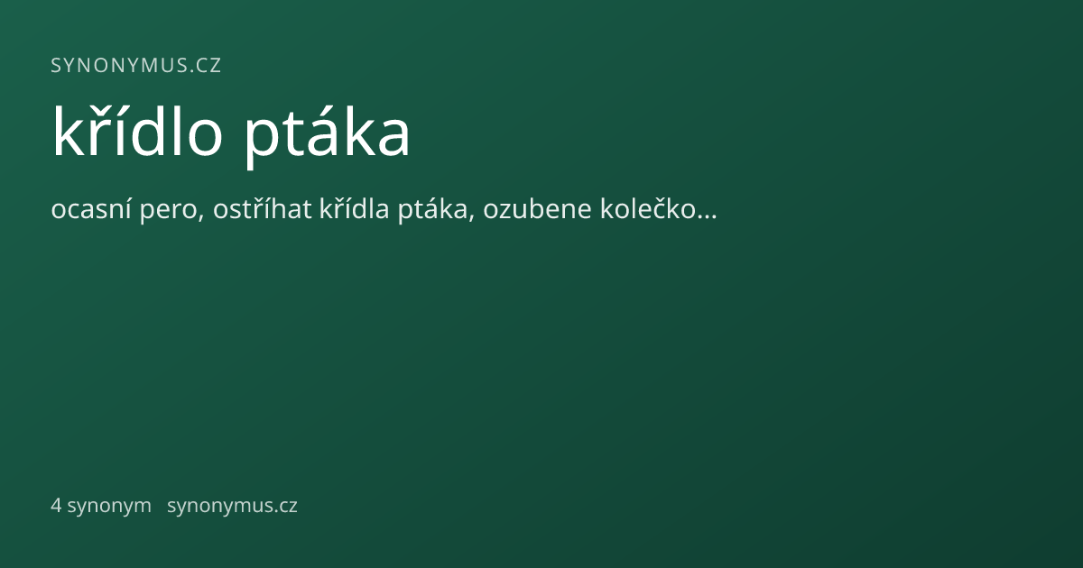 Náhled odkazu: křídlo ptáka