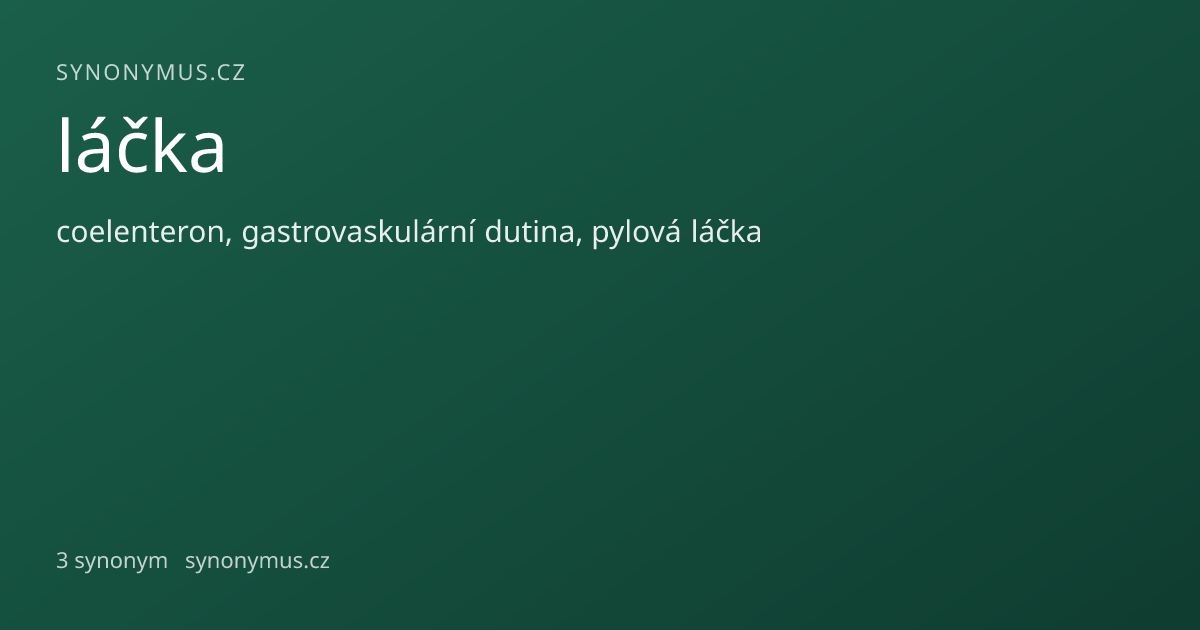Náhled odkazu: láčka