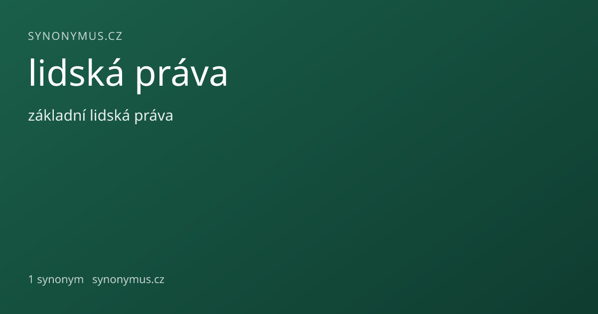 Náhled odkazu: lidská práva