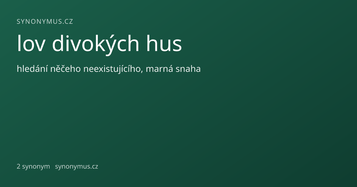 Náhled odkazu: lov divokých hus