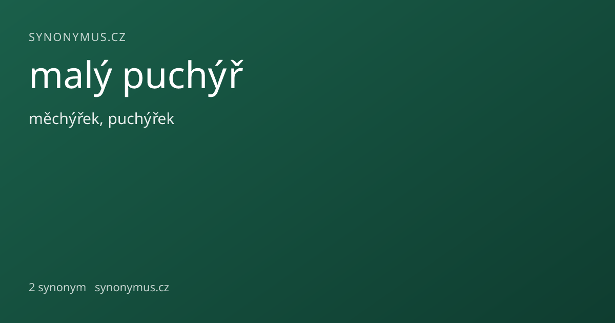 Náhled odkazu: malý puchýř