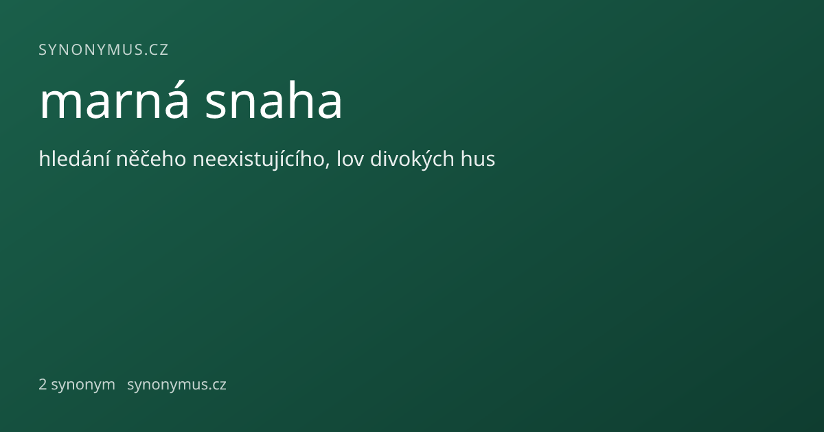 Náhled odkazu: marná snaha