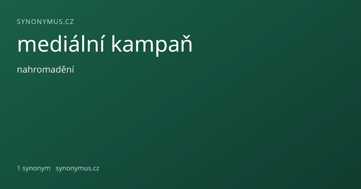 Náhled odkazu: mediální kampaň