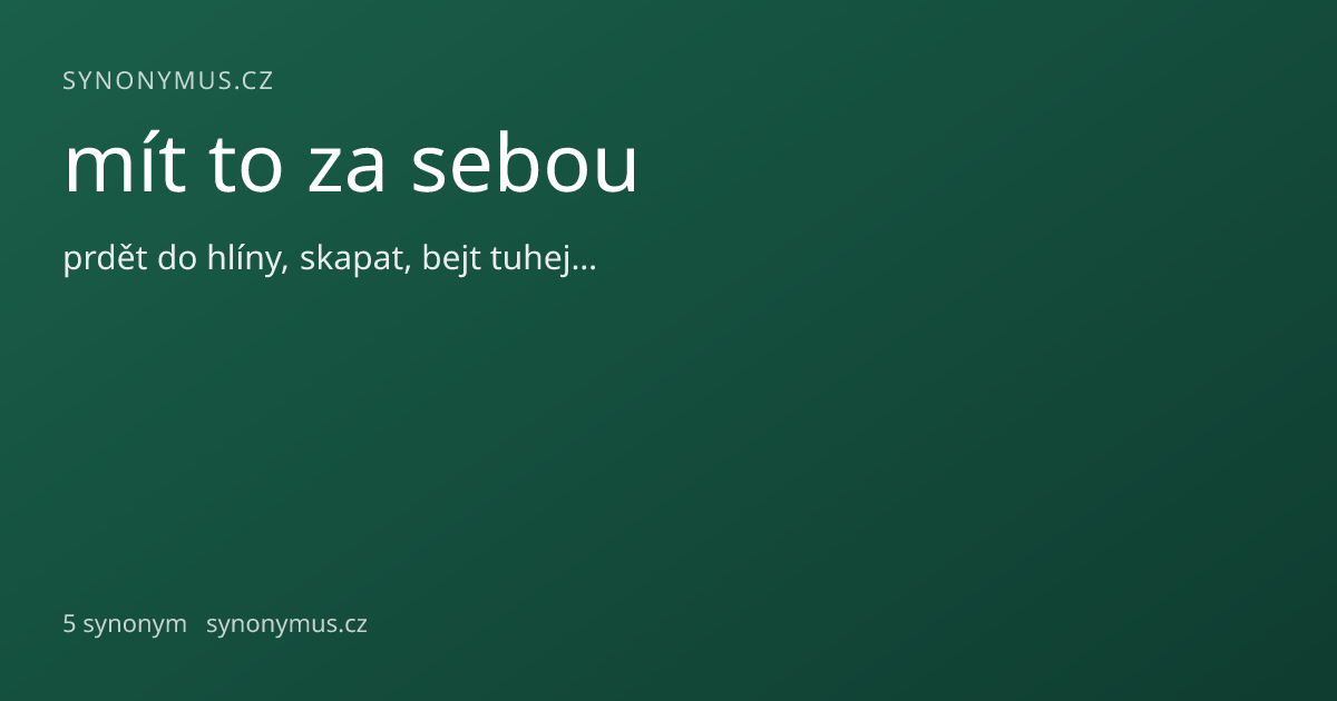 Náhled odkazu: mít to za sebou