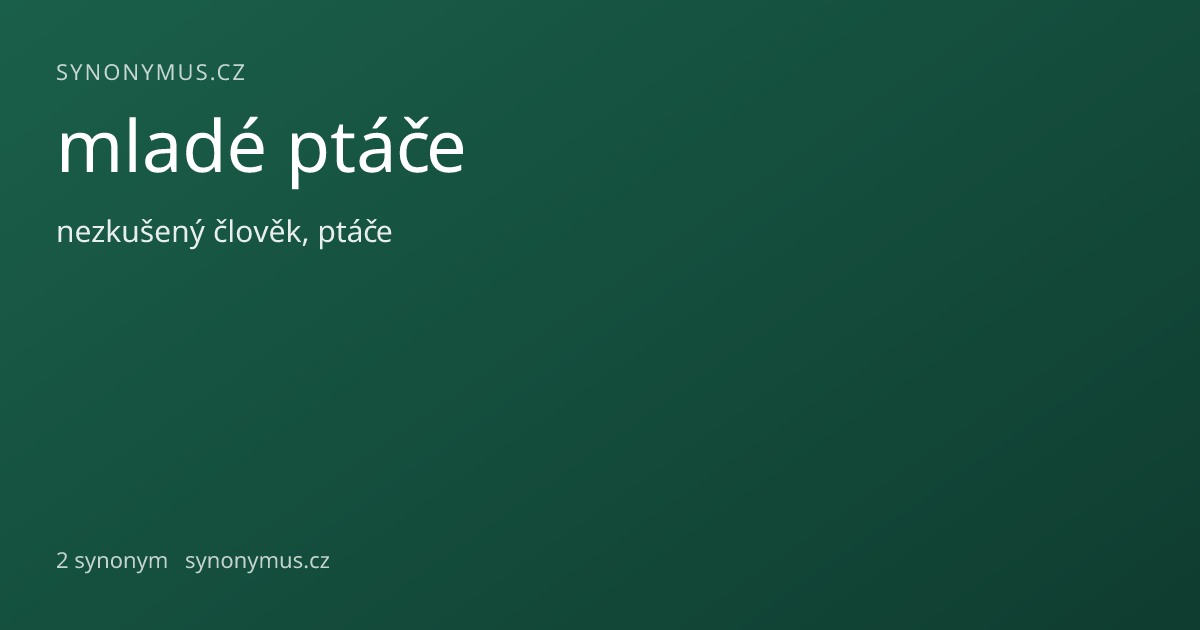 Náhled odkazu: mladé ptáče