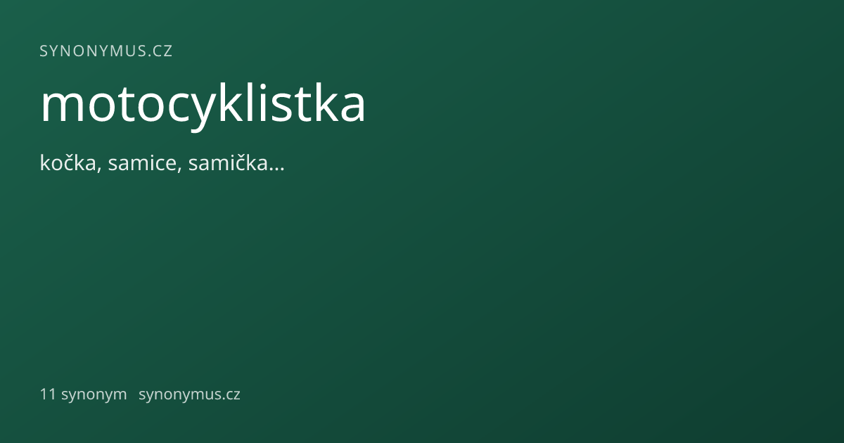 Náhled odkazu: motocyklistka