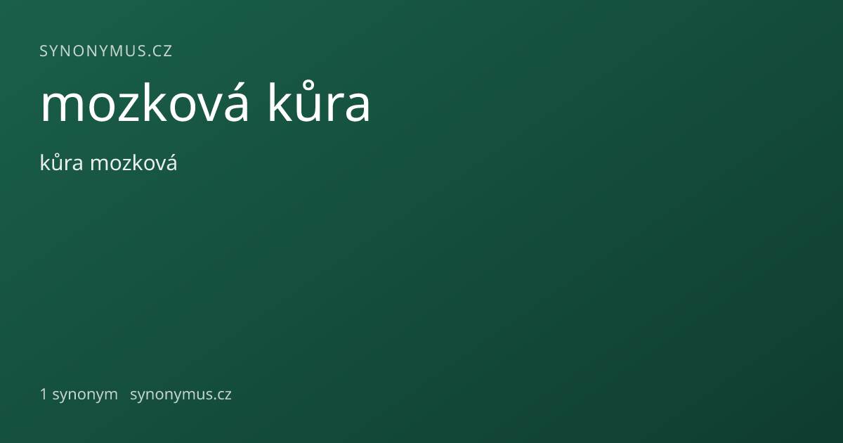 Náhled odkazu: mozková kůra