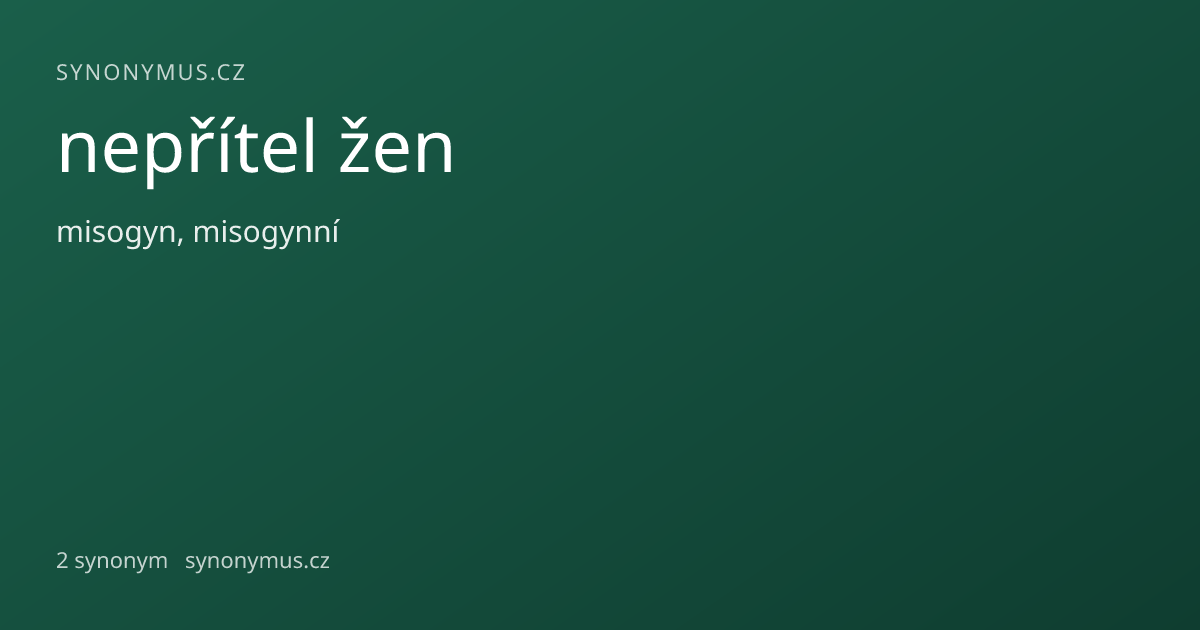 Náhled odkazu: nepřítel žen