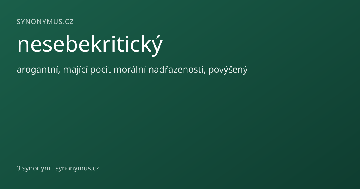 Náhled odkazu: nesebekritický