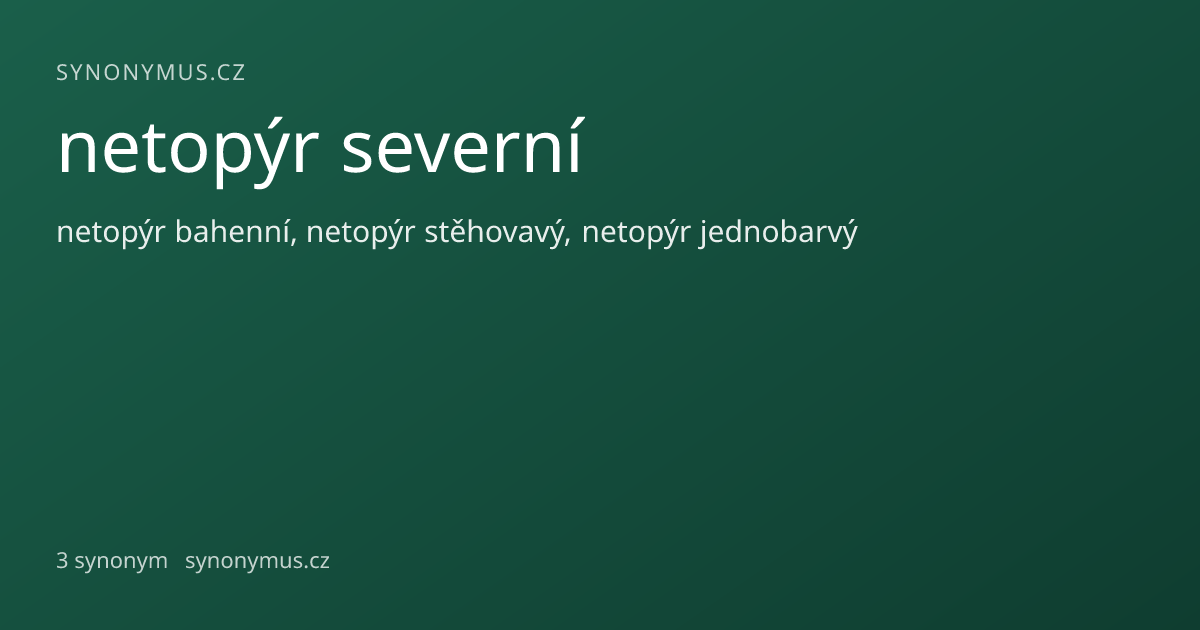 Náhled odkazu: netopýr severní