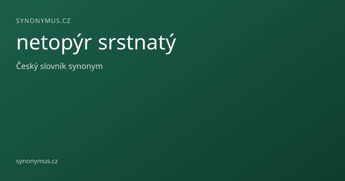Náhled odkazu: netopýr srstnatý