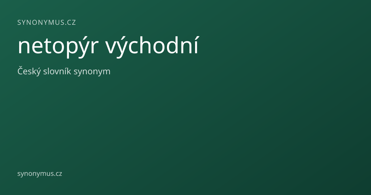 Náhled odkazu: netopýr východní