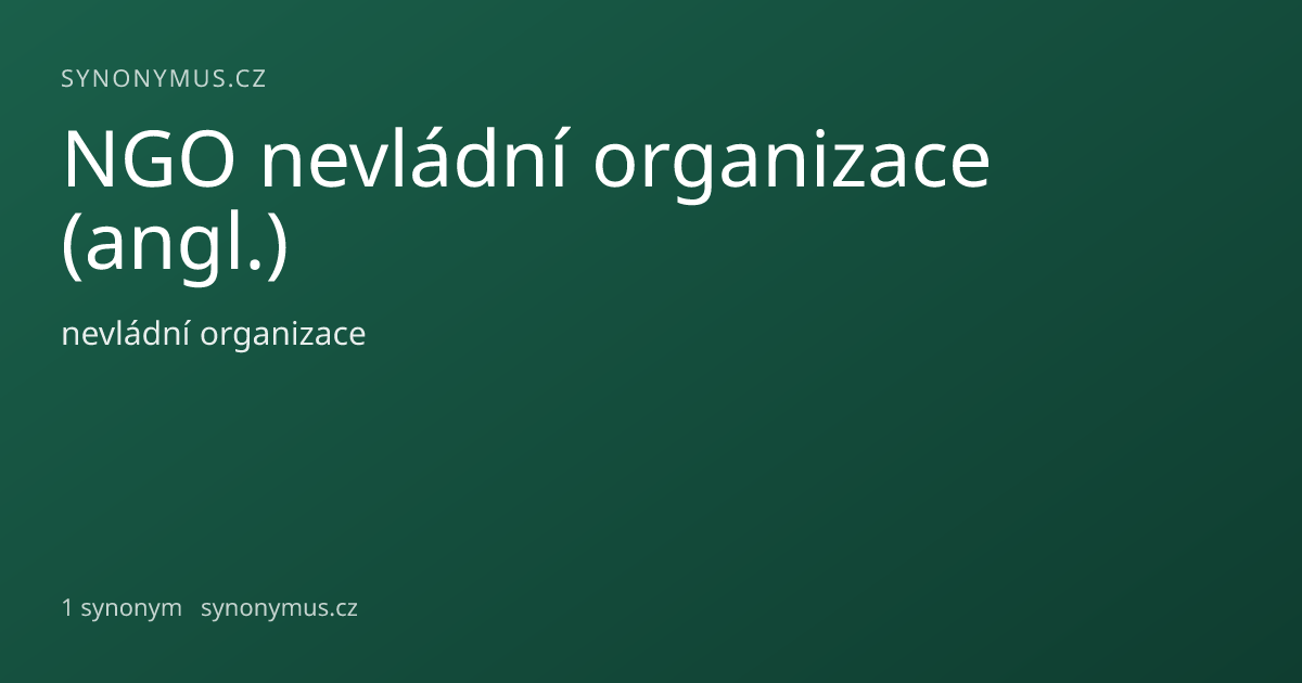 Náhled odkazu: NGO nevládní organizace (angl.)
