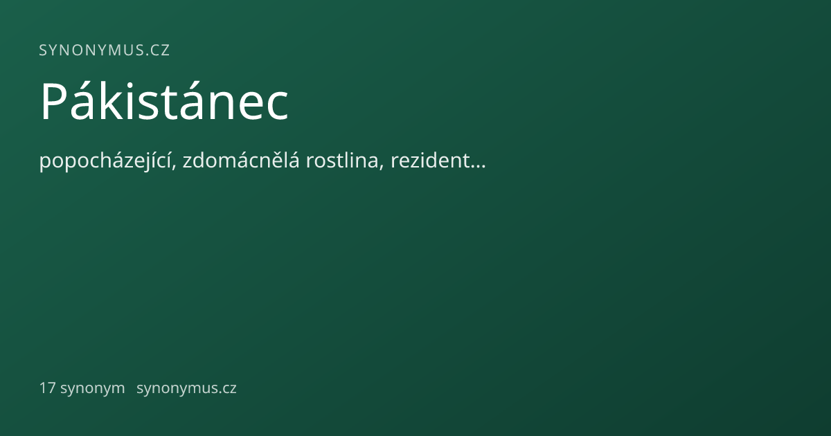 Náhled odkazu: Pákistánec