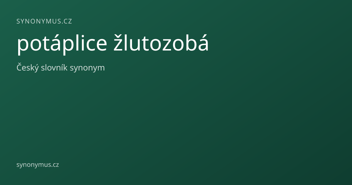 Náhled odkazu: potáplice žlutozobá