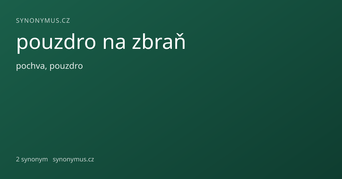 Náhled odkazu: pouzdro na zbraň