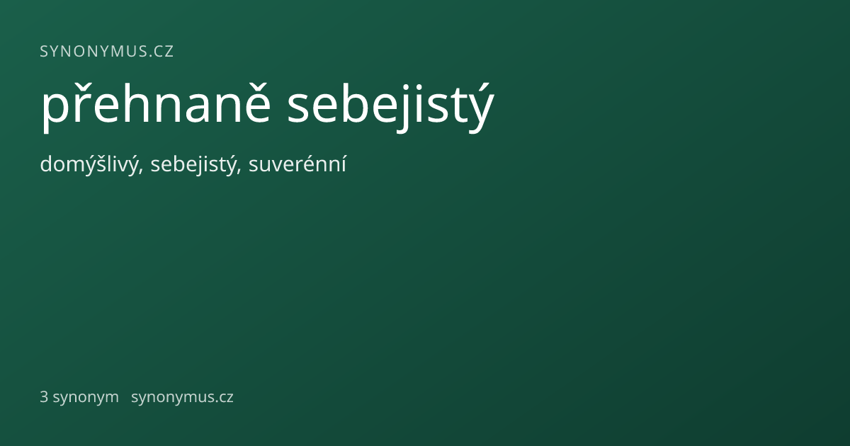 Náhled odkazu: přehnaně sebejistý
