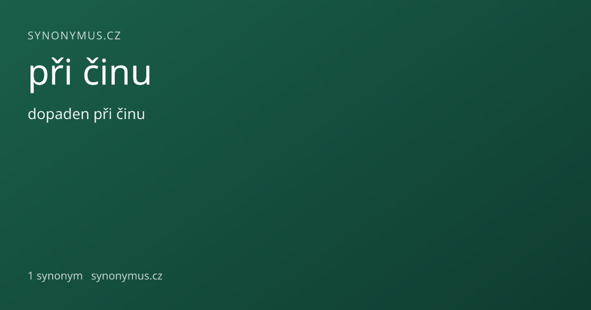 Náhled odkazu: při činu