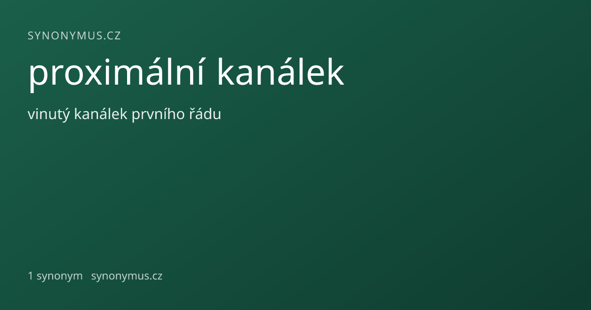 Náhled odkazu: proximální kanálek