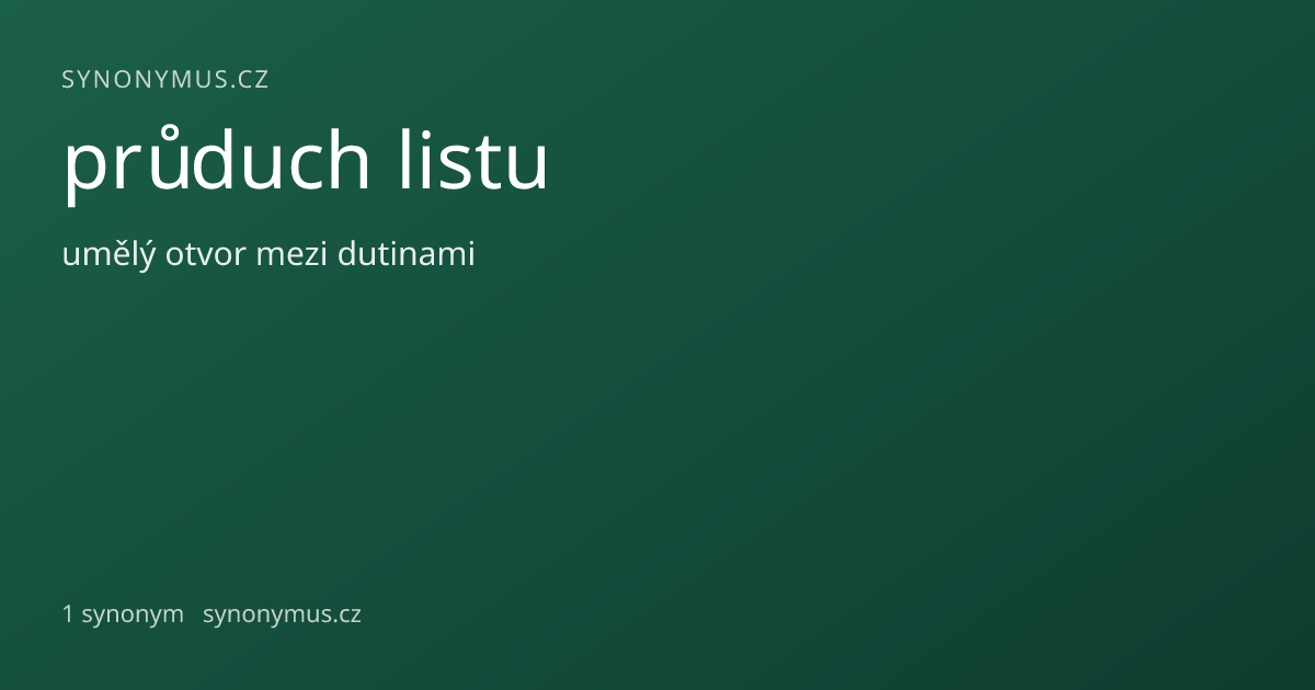 Náhled odkazu: průduch listu