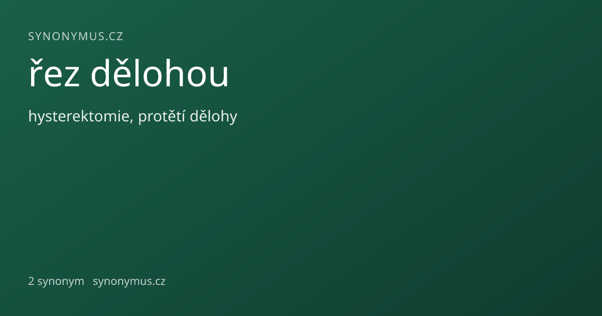 Náhled odkazu: řez dělohou
