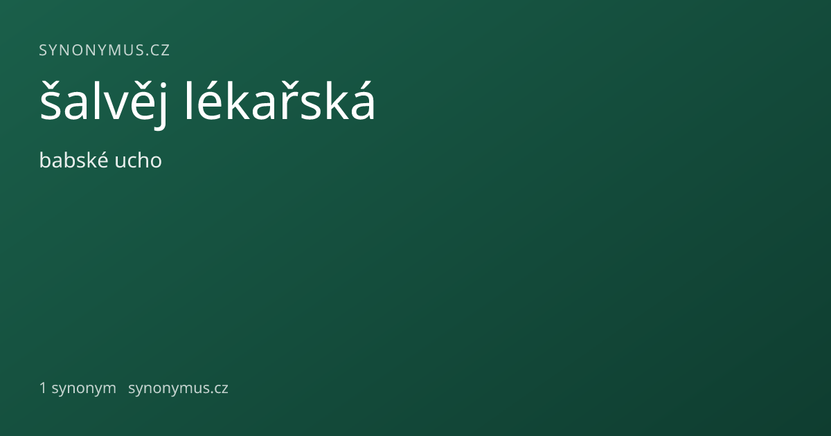 Náhled odkazu: šalvěj lékařská